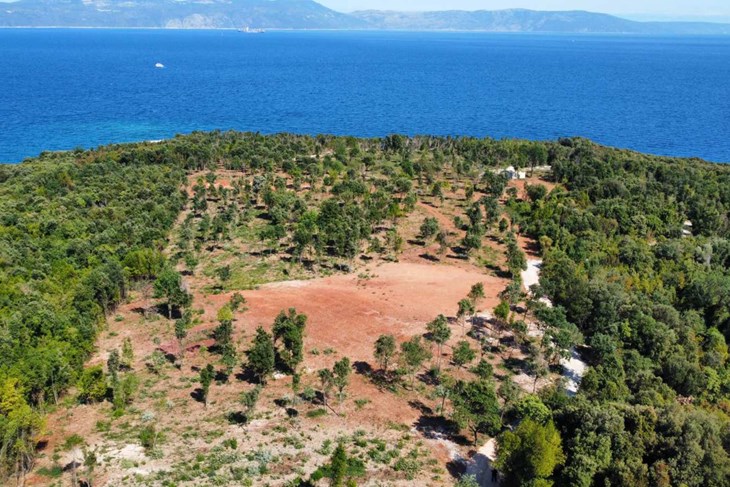 Sječa šume u zaštićenom krajoliku kod Labina podigla je Istru na noge